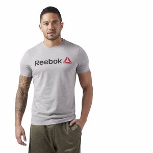 Reebok Linear Read T Shirt Herren - Grau - DE 315-FIH